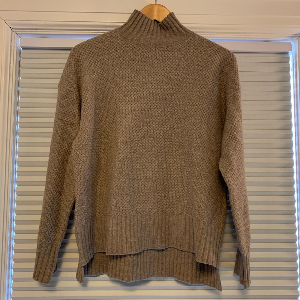 Everlane Cashmere Stroopwafle Turtleneck